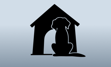 In The Dog House